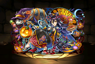 Pet2408