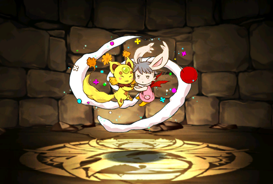 Pet591