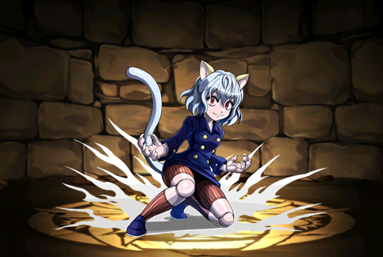 Pet1031