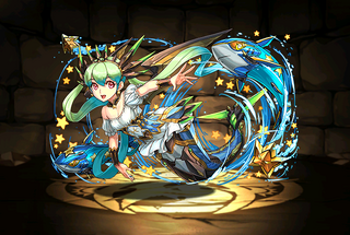 Pet2418