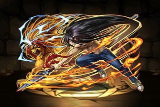 Pet2465
