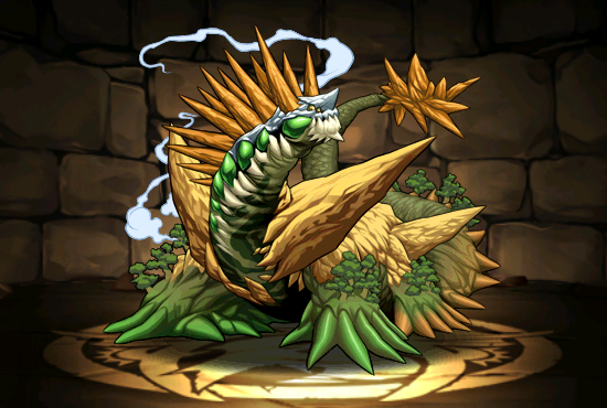 Pet144