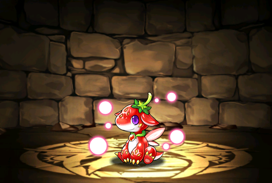 Pet1075