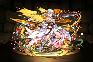 Pet1727