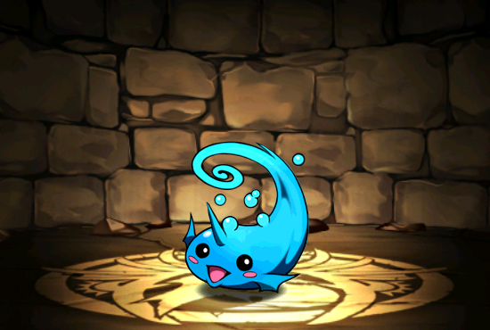 Pet039