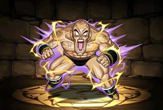 Pet1796