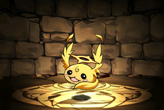 Pet043