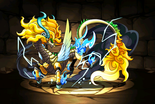 Pet1354