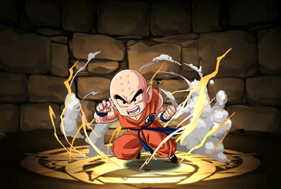 Pet1404