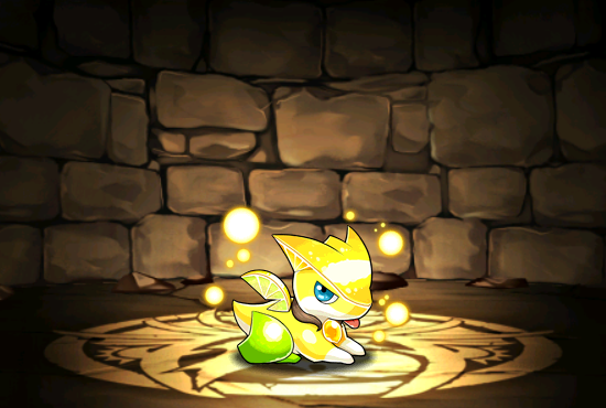 Pet1081