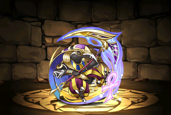 Pet1464