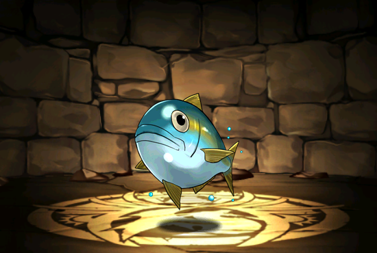 Pet834