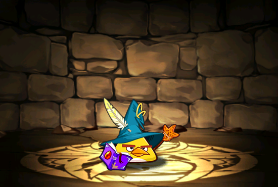 Pet1636