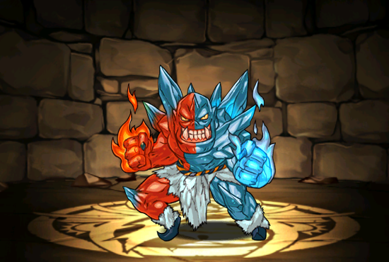 Pet312