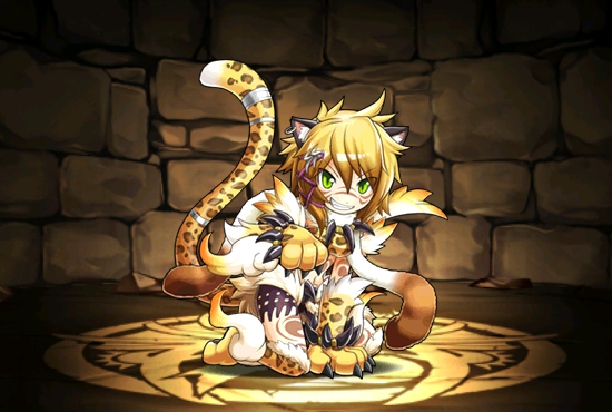 Pet424