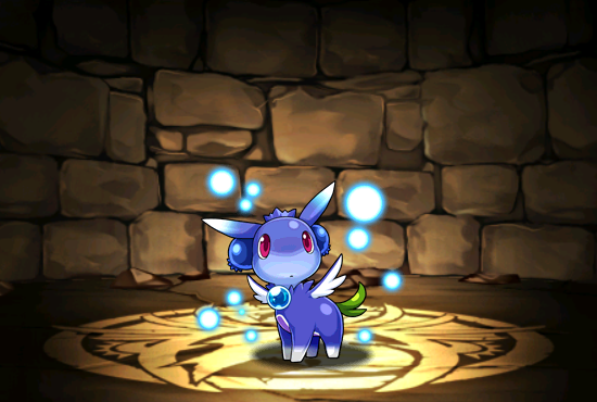 Pet1077