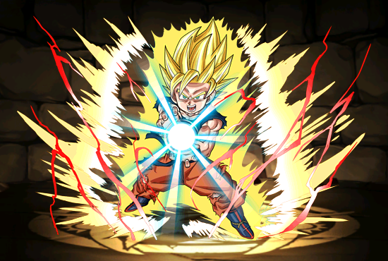 Pet1395