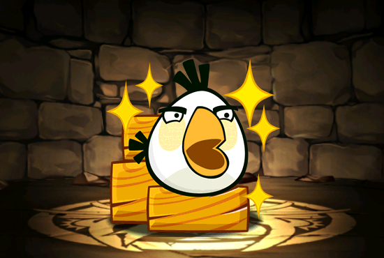 Pet957