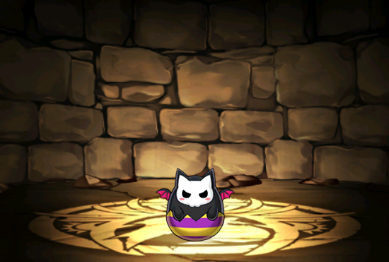 Pet1701