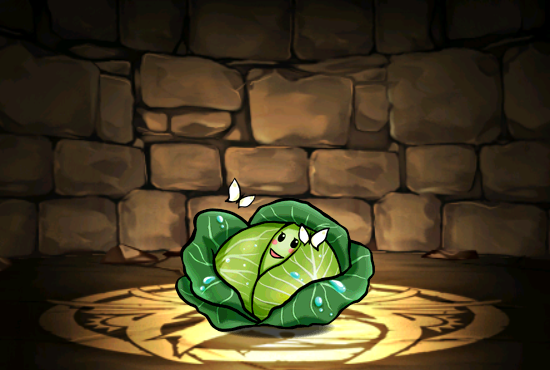 Pet436