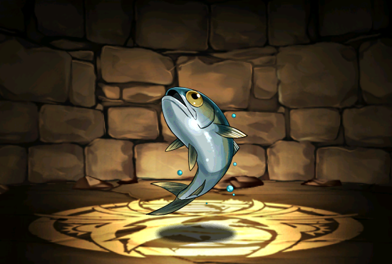 Pet833