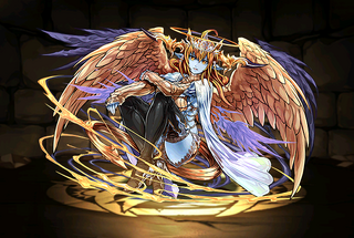 Pet2946