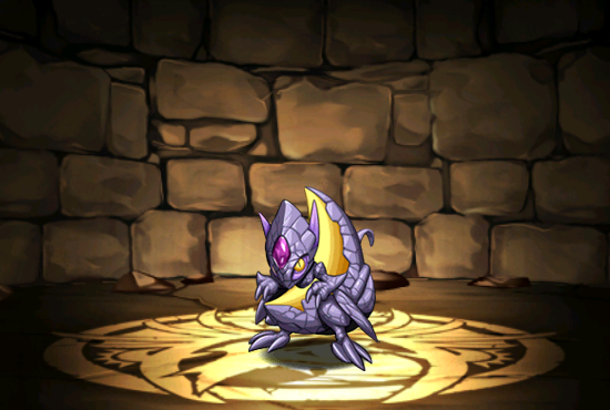 Pet018