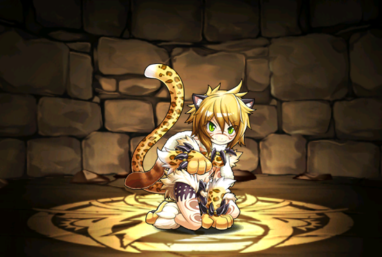 Pet423