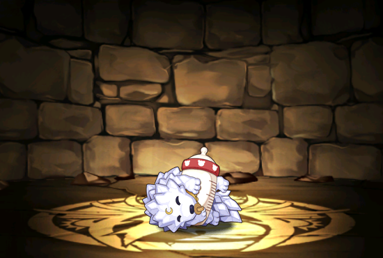 Pet1310