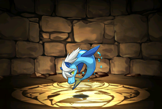 Pet581