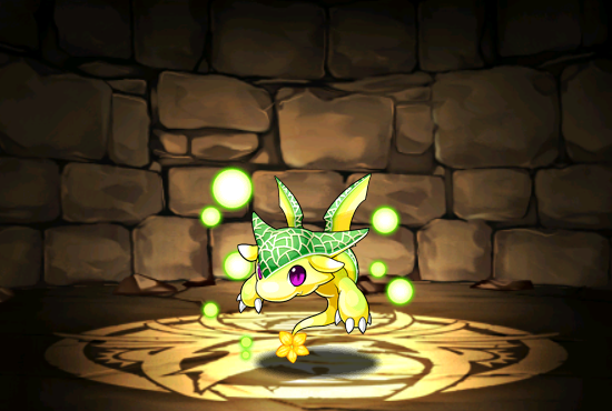 Pet1079