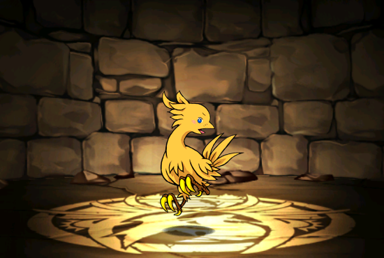 Pet446