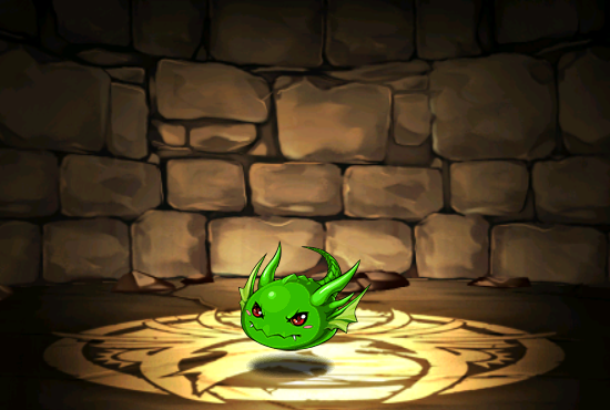 Pet742