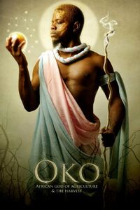 Oko