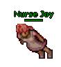 Nurse joy