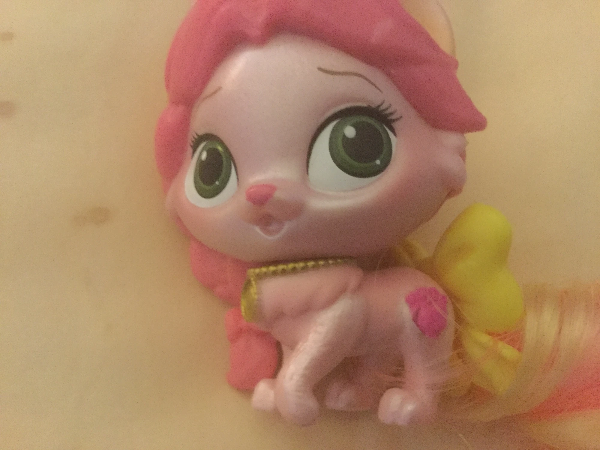 Rouge Palace Pets Wiki Fandom