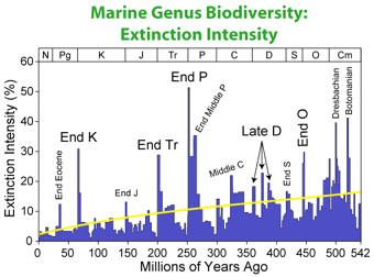 Permian Triassic Extinction Event Paleontology Wiki Fandom