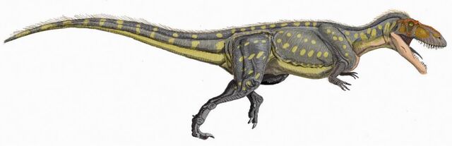 File:Torvosaurus tanner DBi.jpg
