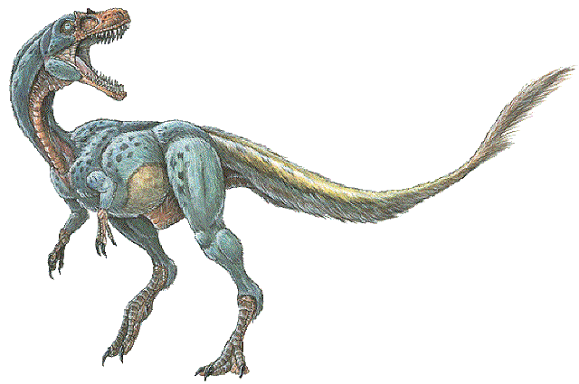File:Dilong paradoxus.gif