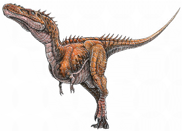 File:Alioramus remotus.gif