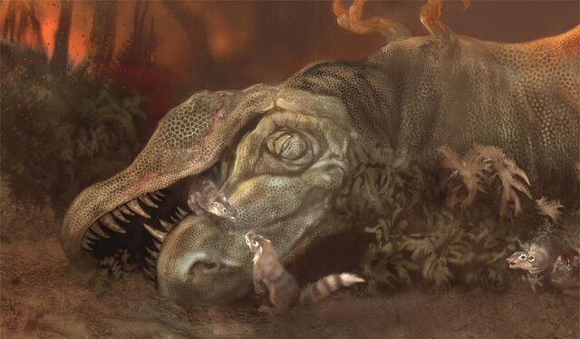 File:K-T Extinction.jpg