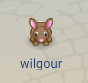 Using the Bunny Potion