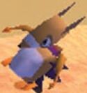 Desert Hedge Hog