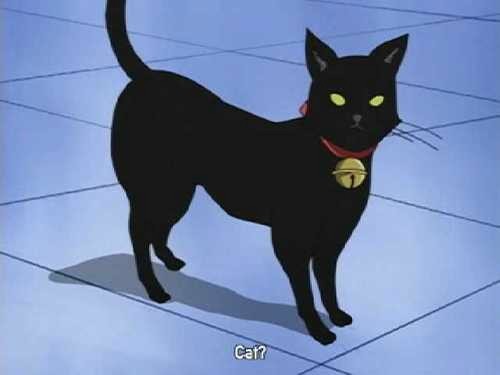 Cheshire Pandora Hearts Wiki Fandom