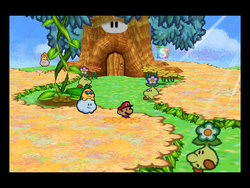 FlowerFieldsPM