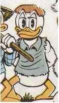 Eider