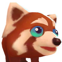 Red Panda Portrait