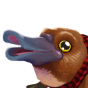 Platypus portrait
