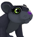 Panther portrait