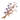 Cotton